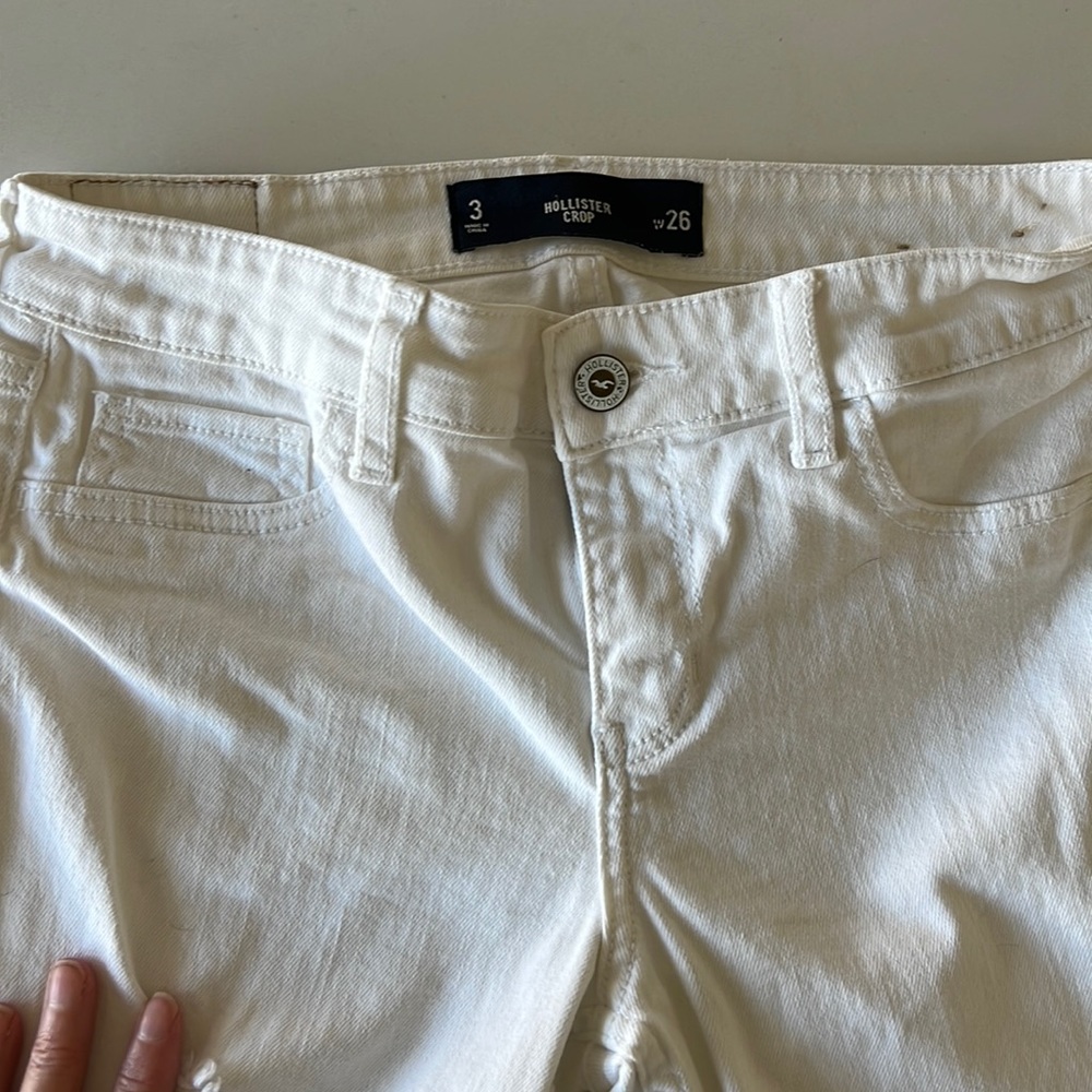 Hollister crop